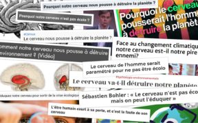 Bug Humain