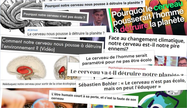 Bug Humain
