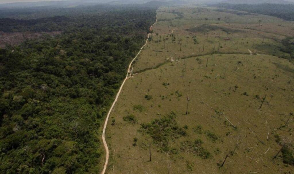 changemznt d albedo deforestation