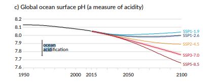 L'acidification des océans selon les différents SSP (AR6)