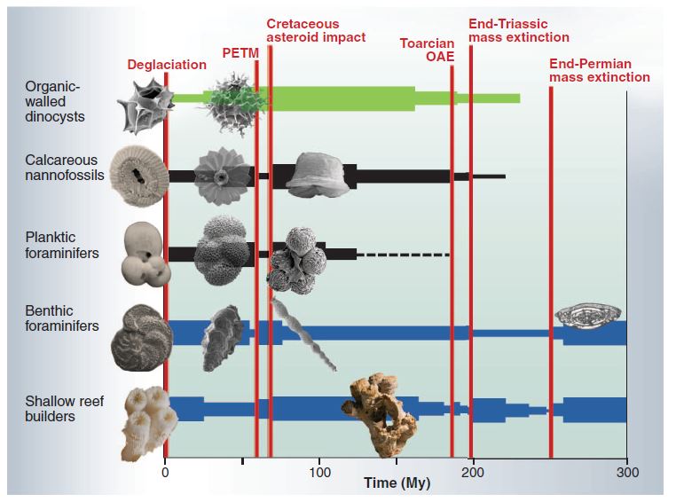 The combined effects of ocean acidification coupled with global warming is the perfect recipe for species extinction.