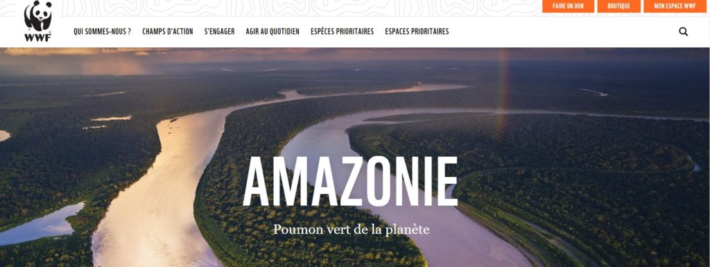 The Amazon, the planet's green lung?