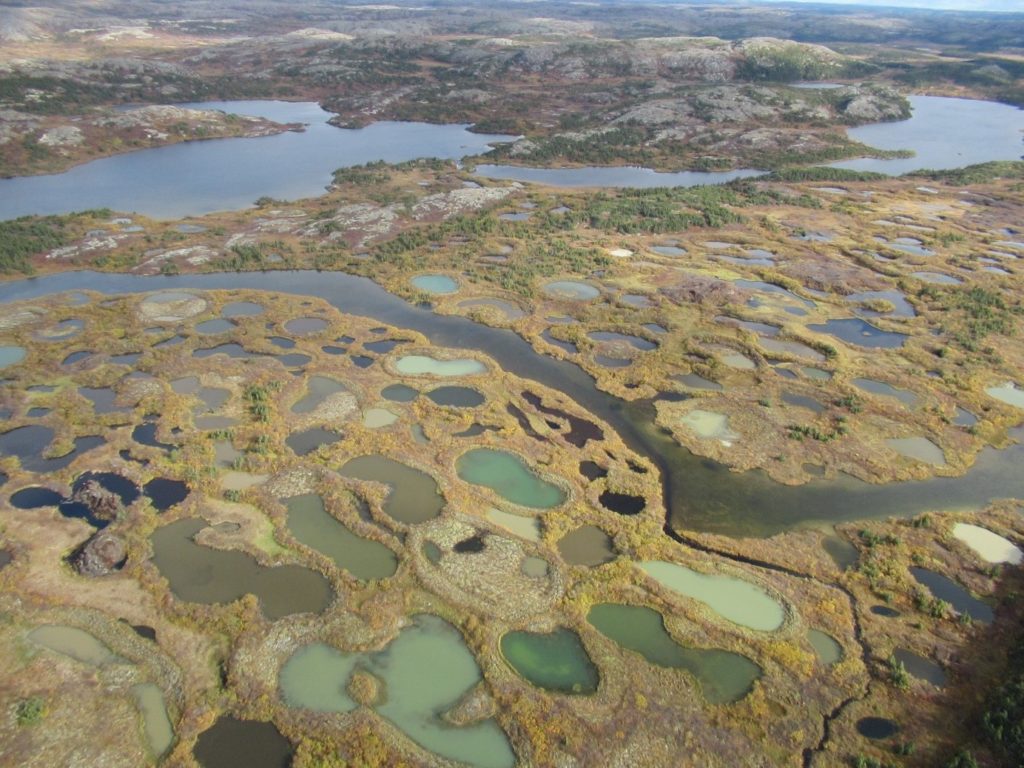 Thermokarst ponds. Ice-rich permafrost hummocks, known as lithalsas, gradually thaw revealing ponds in various formation stages, from a crescent shape in the initial stage to a perfect circle in the final one.