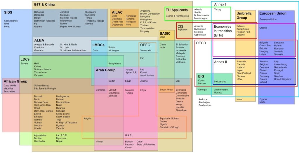Voici une cartographie qui permet d'avoir une vision des pays, alliances et intérêts communs à la COP26