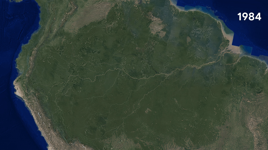 GIF of deforestation in the Amazon, 1984-2018
