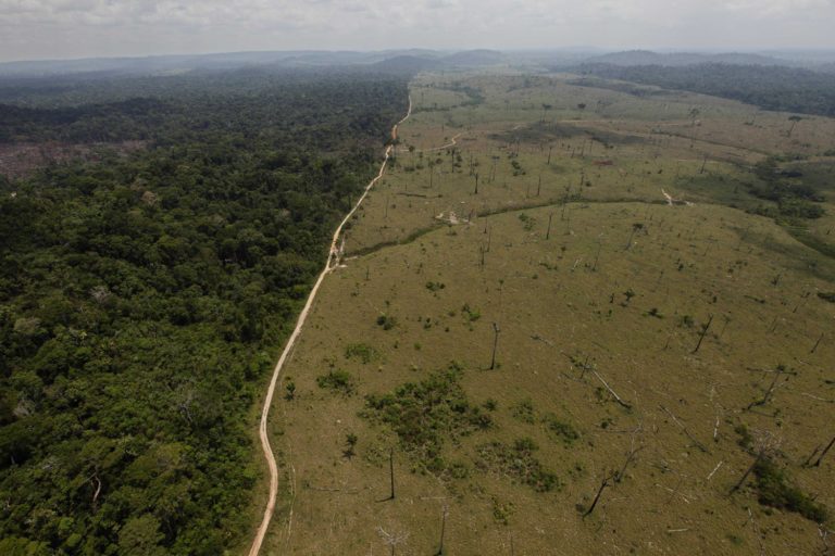 Amazonie deforestation Photo Andre Penner