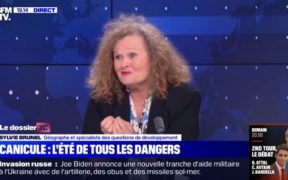 Sylvie Brunel vignette