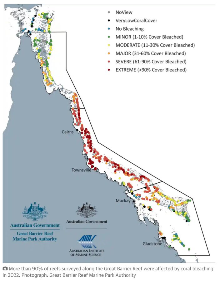 Carte du blanchissement de la grande barrière de corail en Australie en 2022. Environ 91% des récifs coralliens ont été touchés. Source: Great Barrier Reef Marine Park Authority