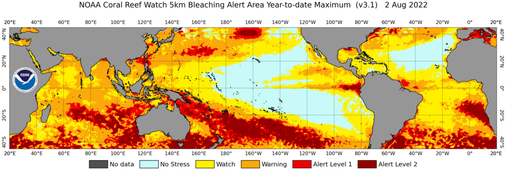 Niveau maximum de stress thermique auquel les récifs coralliens ont été confrontés cette année. Source: NOAA Coral Reef Watch data on Resource Watch