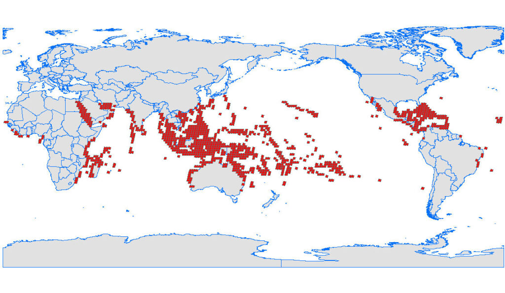Distribution des récifs coralliens peu profonds dans le monde. Source: NASA Millennium Coral Reef Mapping Project/ Our world in data