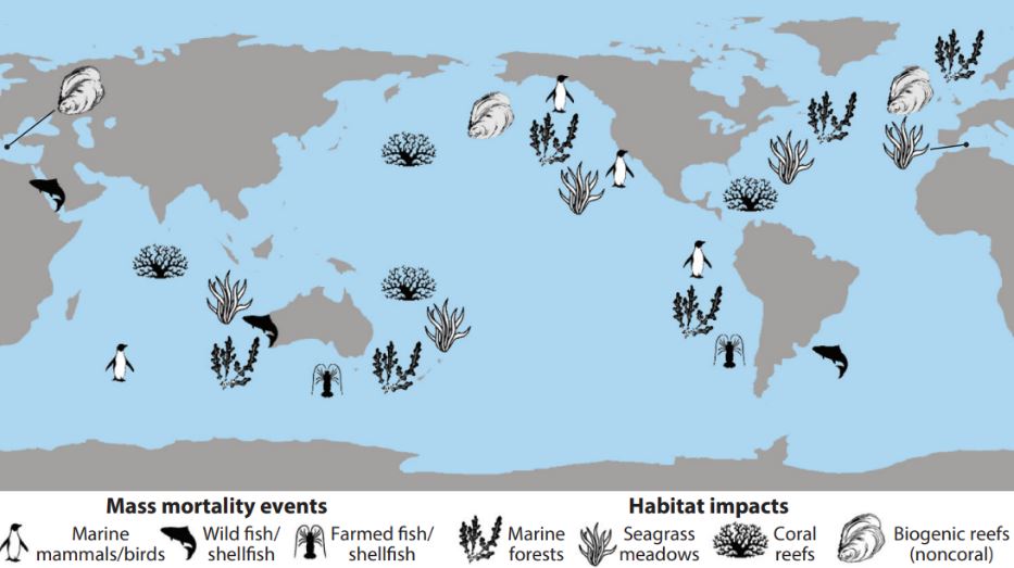 Exemples de phénomène de mortalité massive liée à des canicules marines. Source: http://www.marineheatwaves.org/