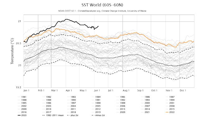 La courbe noire représente la température océanique moyenne mondiale en 2023. On voit qu'elle est plus haute qu’en 2022 (courbe orange), et bien plus haute que la moyenne entre 1982 et 2011 (courbes en petits pointillées). Source: climatereanalyzer.org