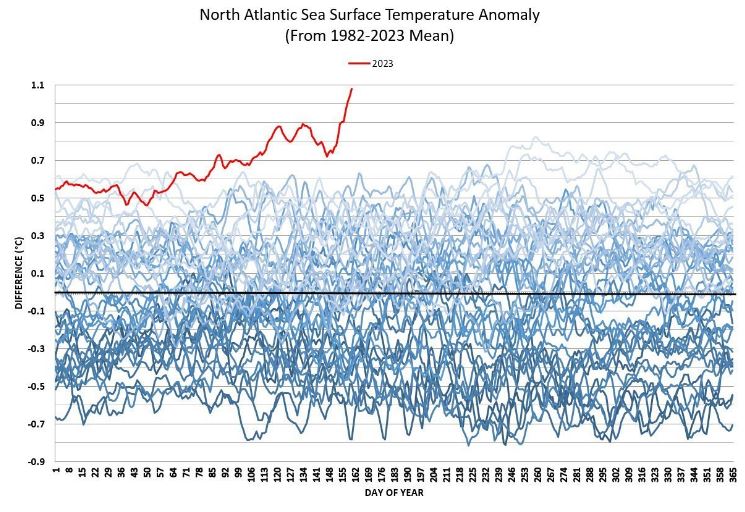 Le record de température de la surface de la mer Atlantique nord cette année. Source: https://climatereanalyzer.org/