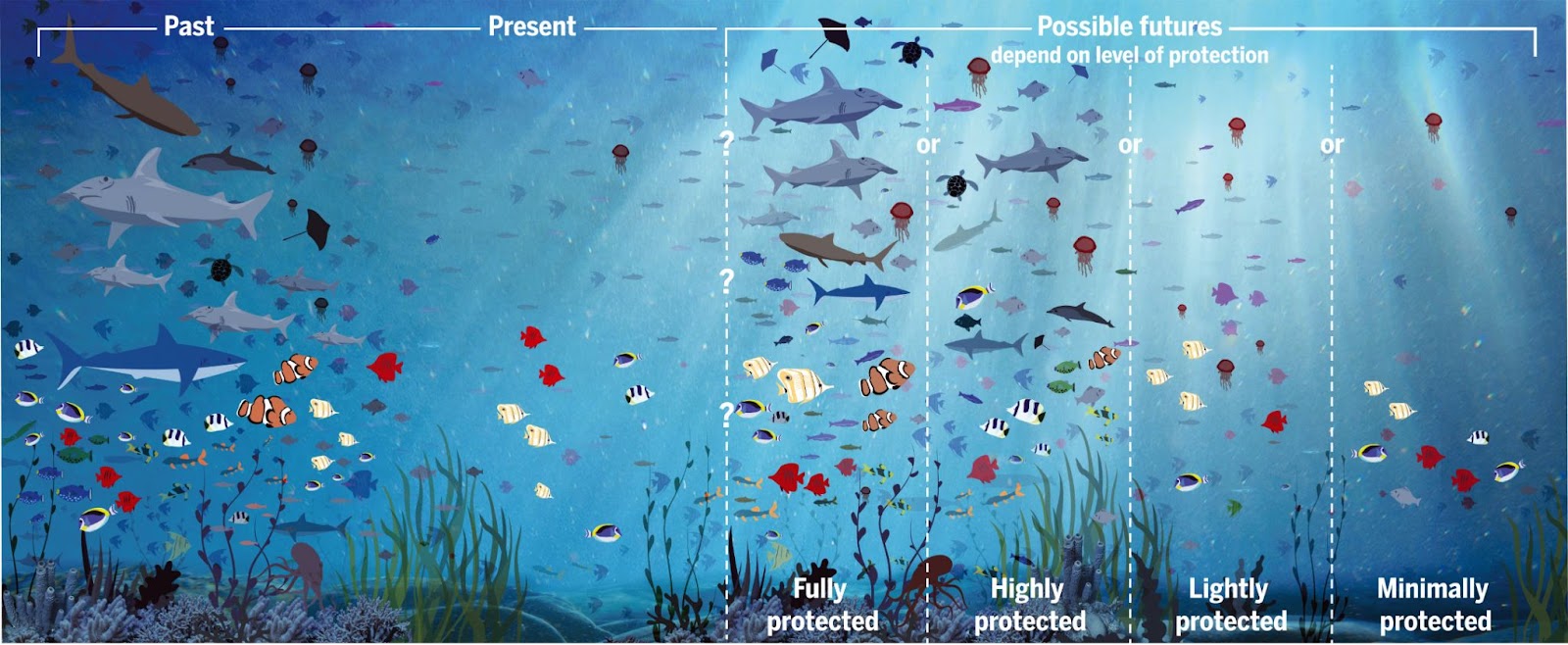 Aires marines protégées vignette