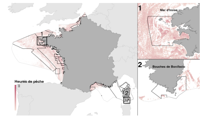 Les aires marines «&nbsp;protégées&nbsp;» promues en exemple par la France, comme le parc marin de la Mer d’Iroise, sont totalement inefficaces pour protéger le milieu marin. Source: Bloom