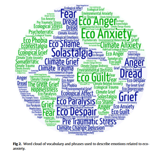 Quels mots sont utilisés pour représenter l'eco-anxiété&nbsp;?