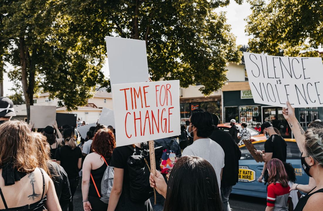 Vignette 3.5% Credit Duncan Shaffer