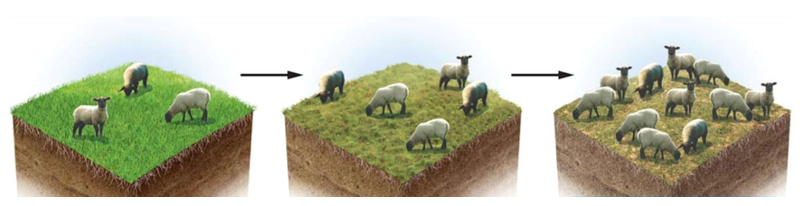 Illustration de la capacité de charge pour expliquer le jour du dépassement