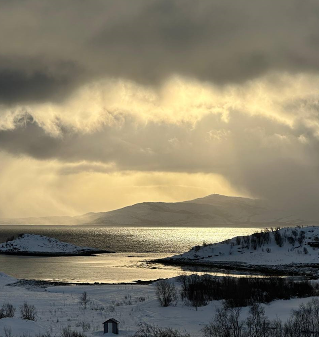 Je ne sais pas comment tu tiens vignette