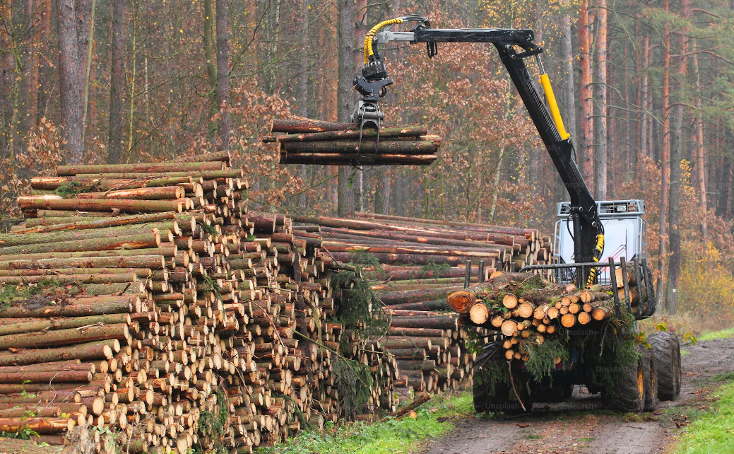 jour du dépassement vignette