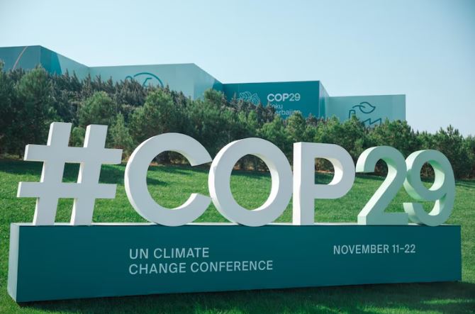 COP29 Vignette