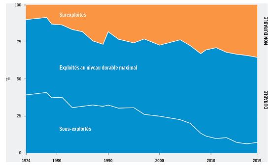 Crise de la biodiversité : augmentation de la surpêche mondiale (Source FAO)