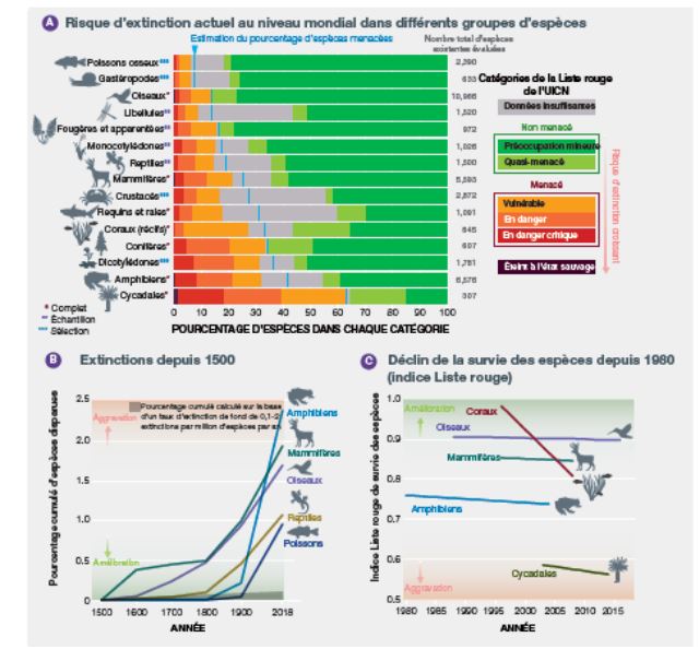 source : IPBES, 2019 le GIEC de la biodiversité