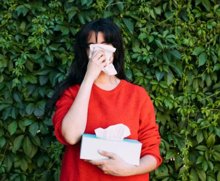 Allergies changement climatique vignette