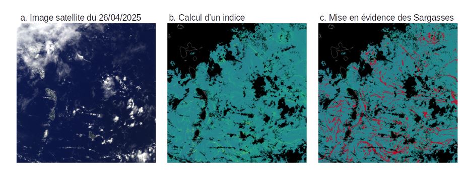 Fig3&nbsp;: Détection des Sargasses sur image satellite au 26 avril 2025
