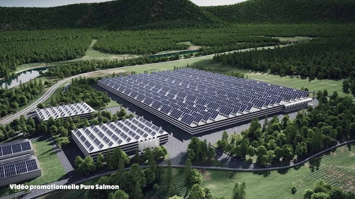 Capture d'écran d'un projet de mégaferme de saumon par PureSalmon, entreprise à l'origine du projet en Gironde.