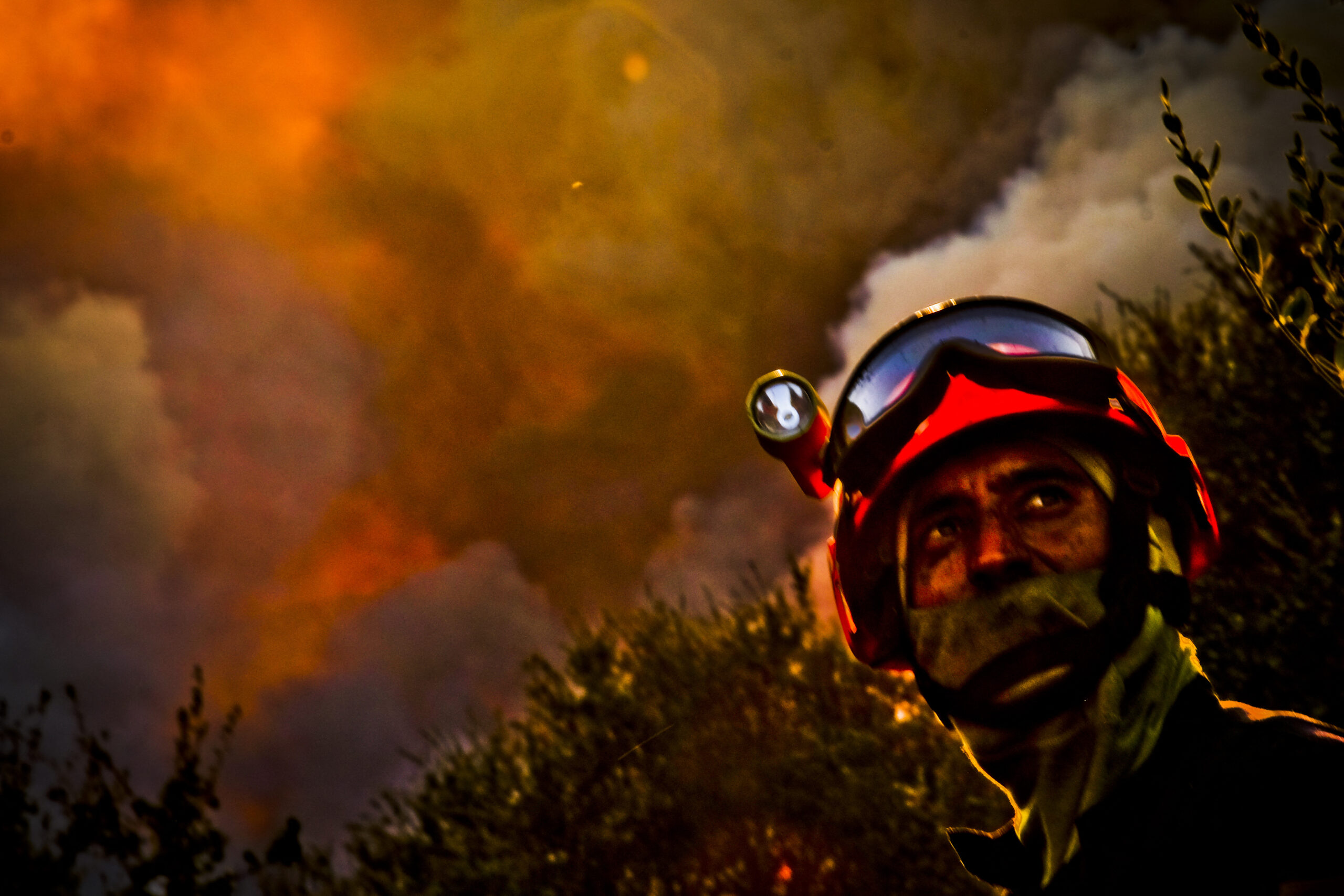 Photo par LILIAN AUFFRET / HANS LUCAS / HANS LUCAS VIA AFP