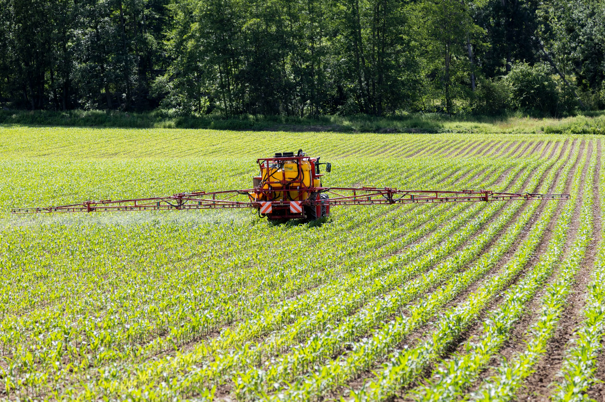 PEsticides 450000